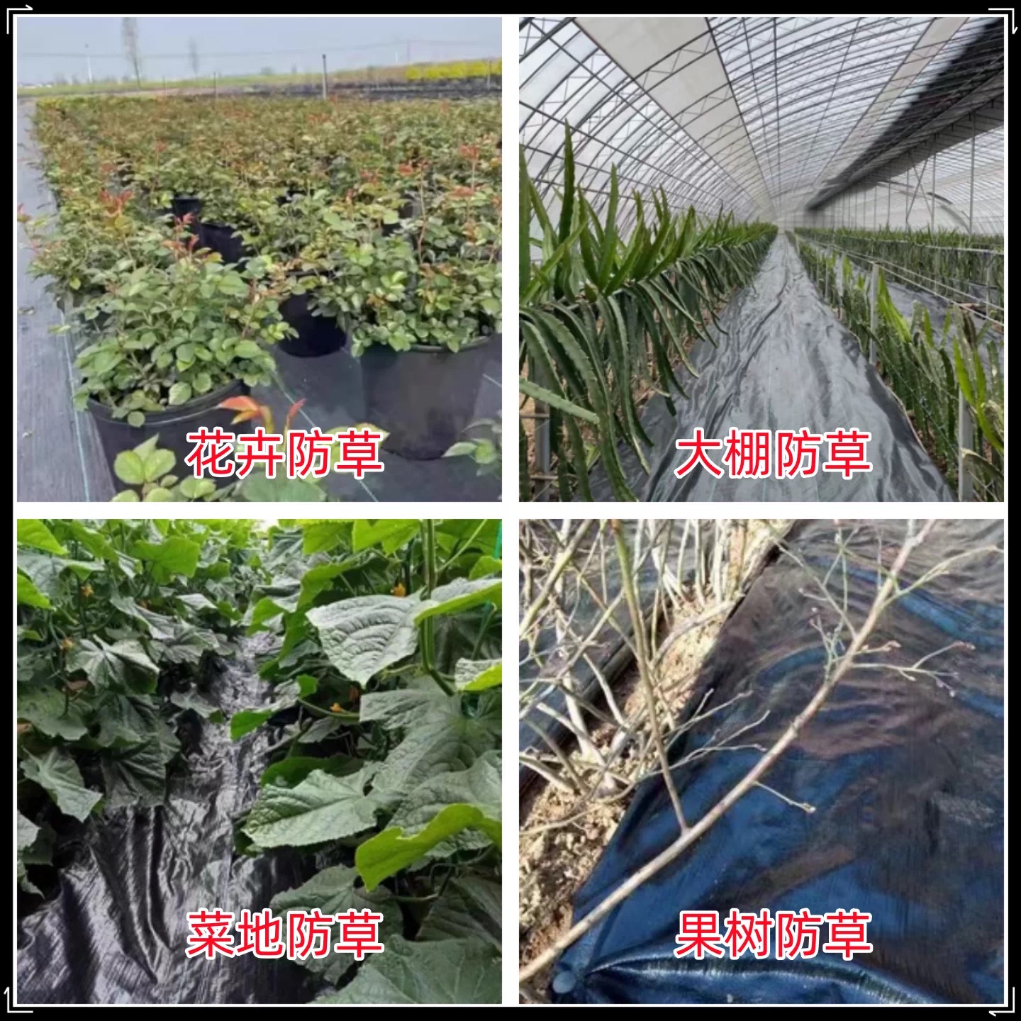 遂宁市果树反光膜防草布 - 厂家
