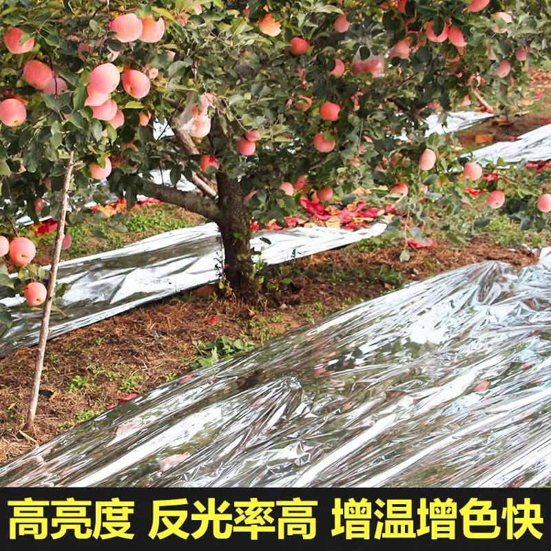 遂宁市塑料薄膜果树反光膜 - 排名